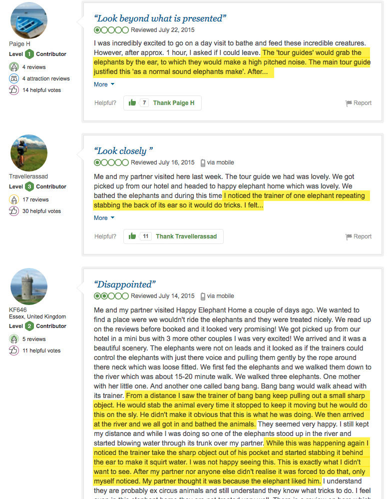 reviews-e1479267936617